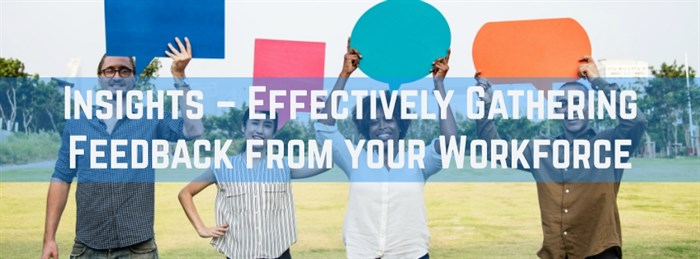 Insights – Effectively Gathering Feedback from your Workforce