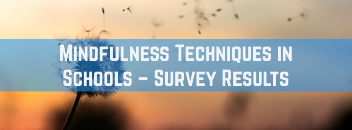 Mindfulness Techniques in Schools – Survey Results
